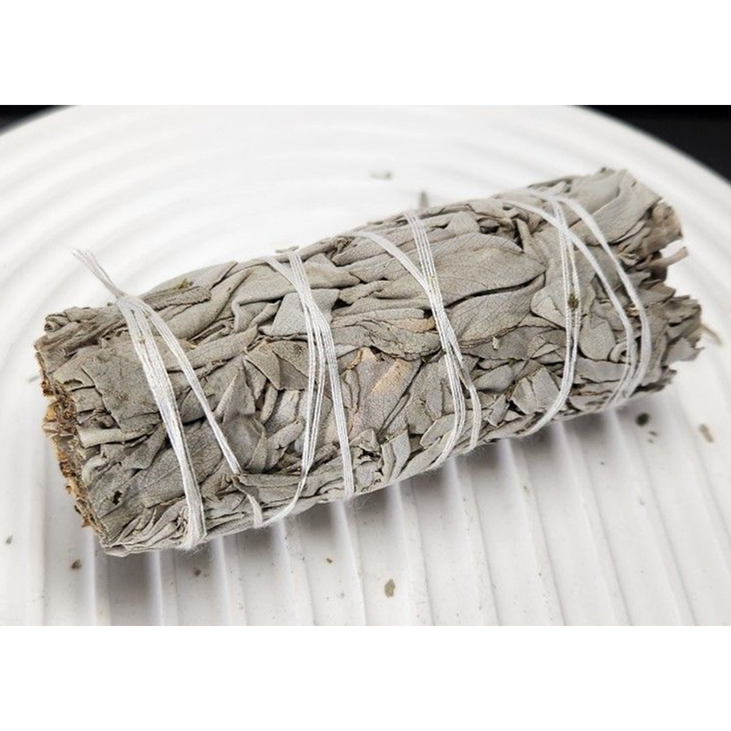 白鼠尾草 - Image 2